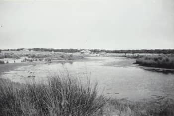 View of Salt Creek at the Coorong with Coorong Cafe in distance SLSA: PRG 1258/2/129