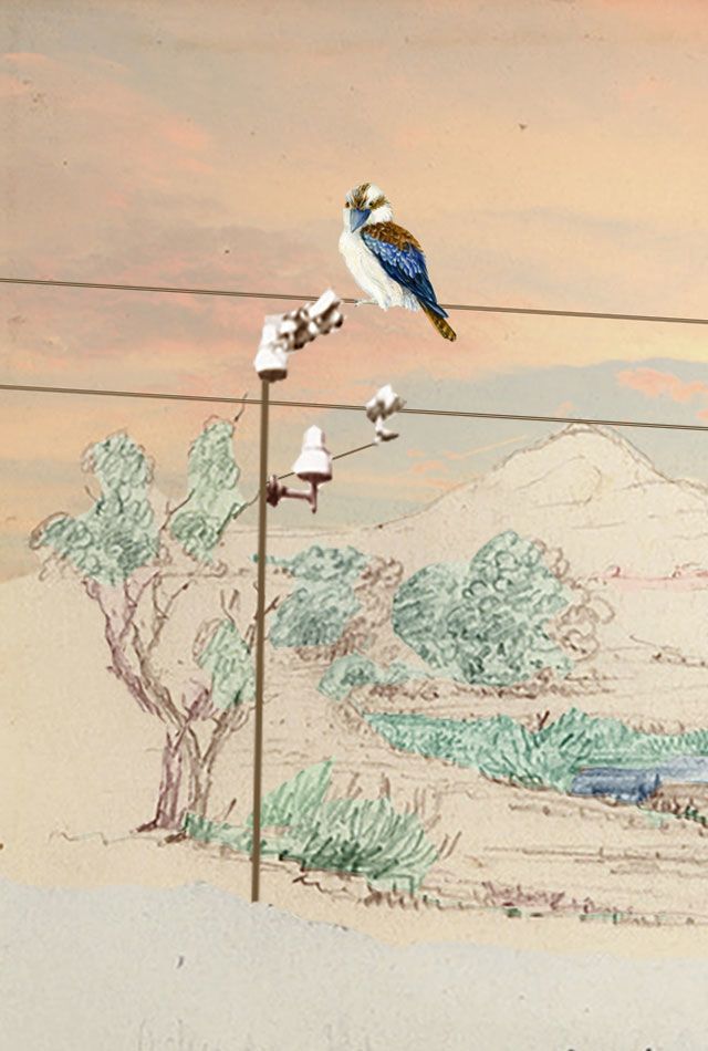 ‘Kookaburra sits on the telegraph wire…’ How Australian children connected with the Overland Telegraph