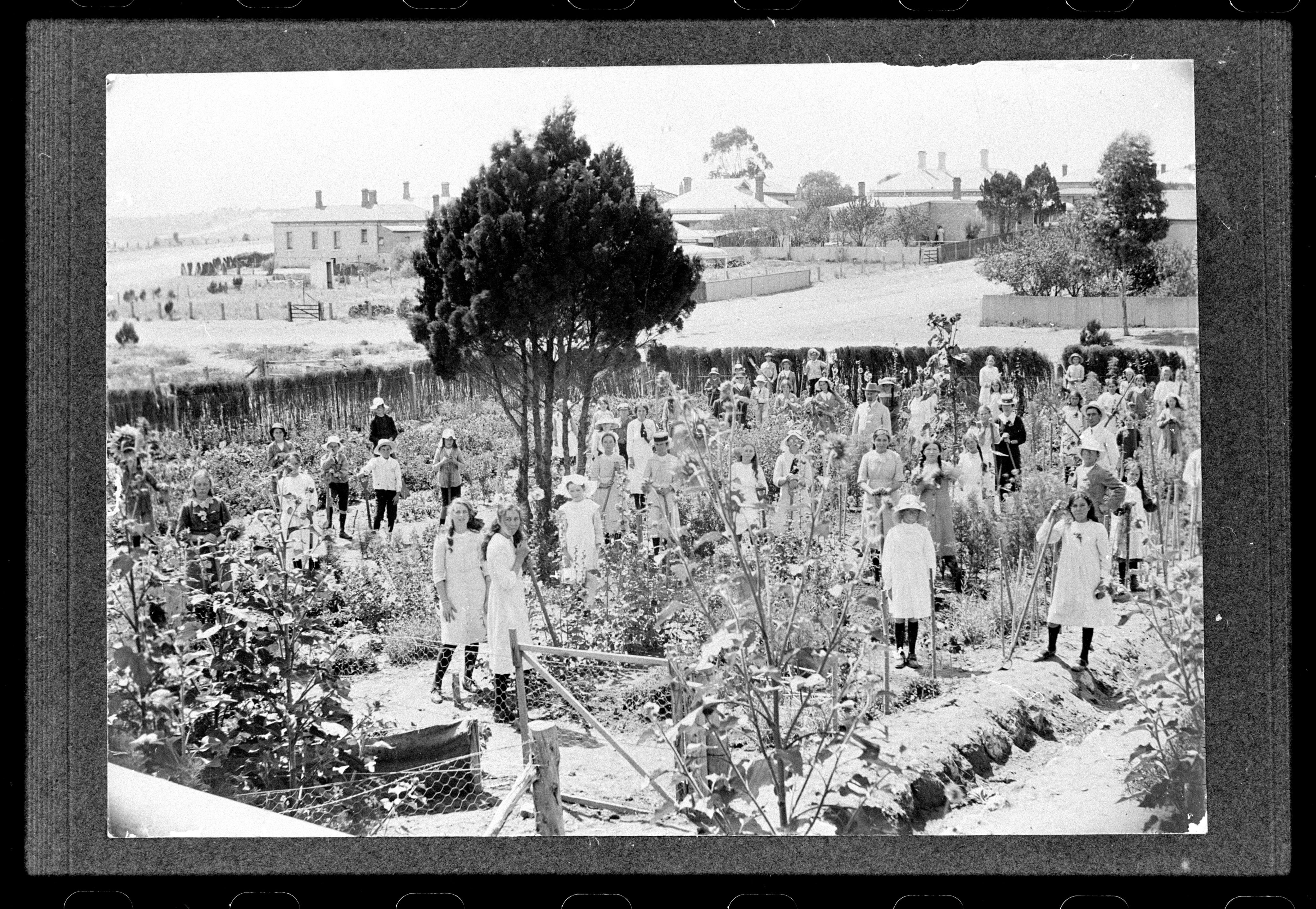 Murray Bridge Public School, 1913. SLSA: B 46092 