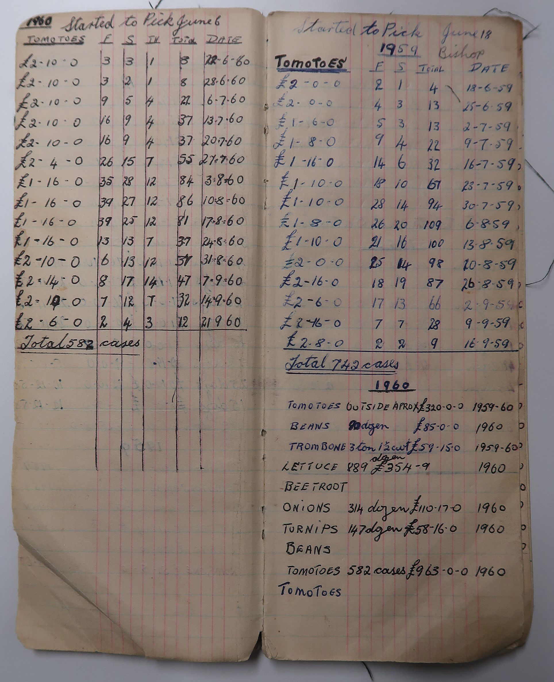 Sale of tomatoes in 1959 and 1960. Columns show the cost of a full box of tomatoes, first grade, second grade, third grade, total boxes, date of market day. SLSA: ACC 4034