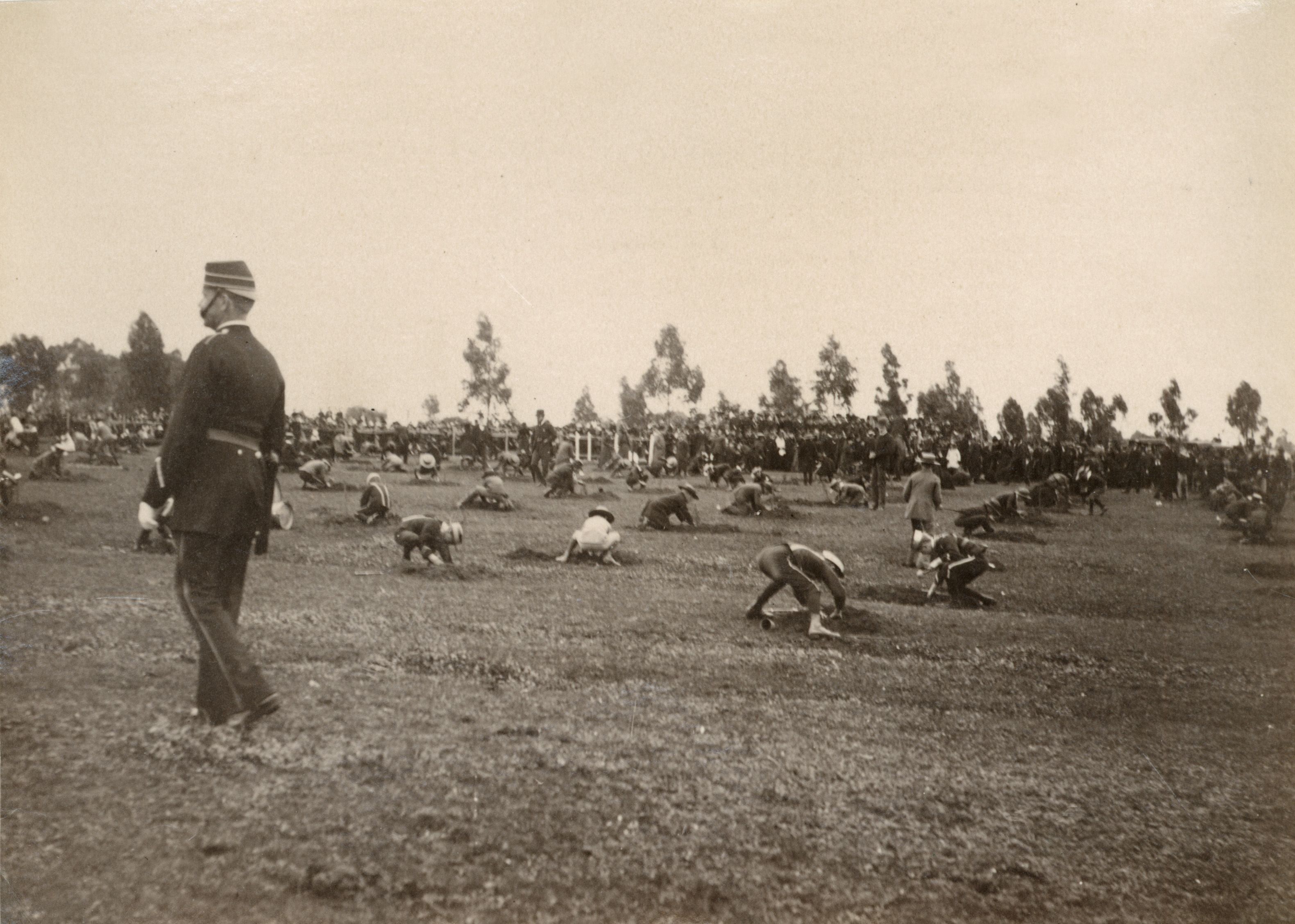 Mass tree planting at Victoria Park Racecourse, Arbor Day, 1889. SLSA: B 1699/A  