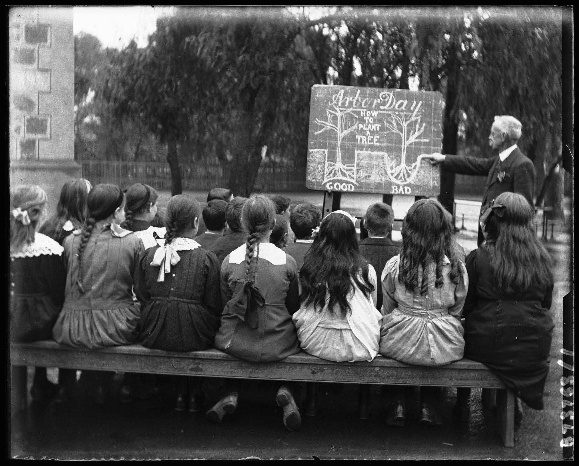 Students learn how to plant a tree on Arbor Day, 1913. SLSA: B 73763/1