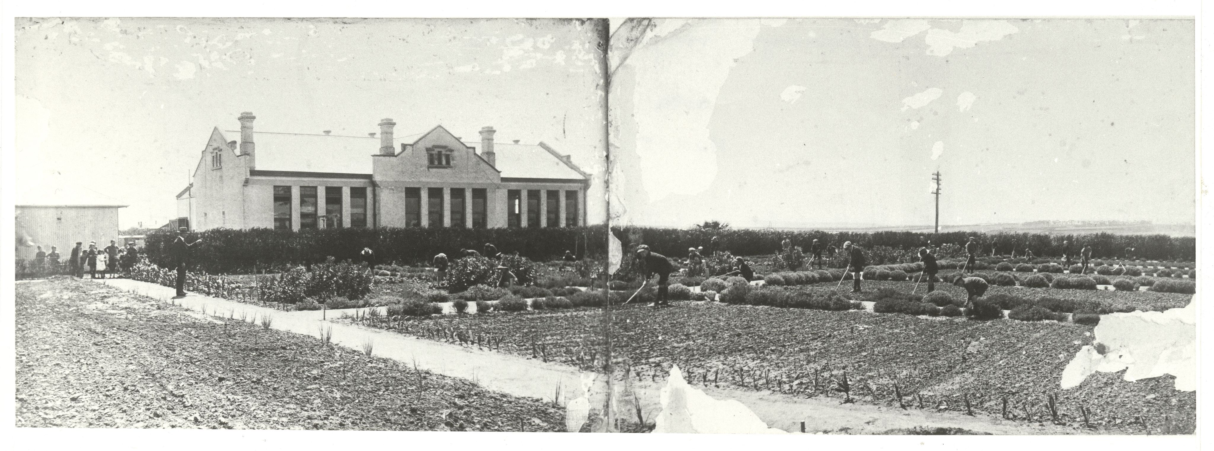 Chicago Primary School (now Kilburn), 1920. SLSA: B 36095