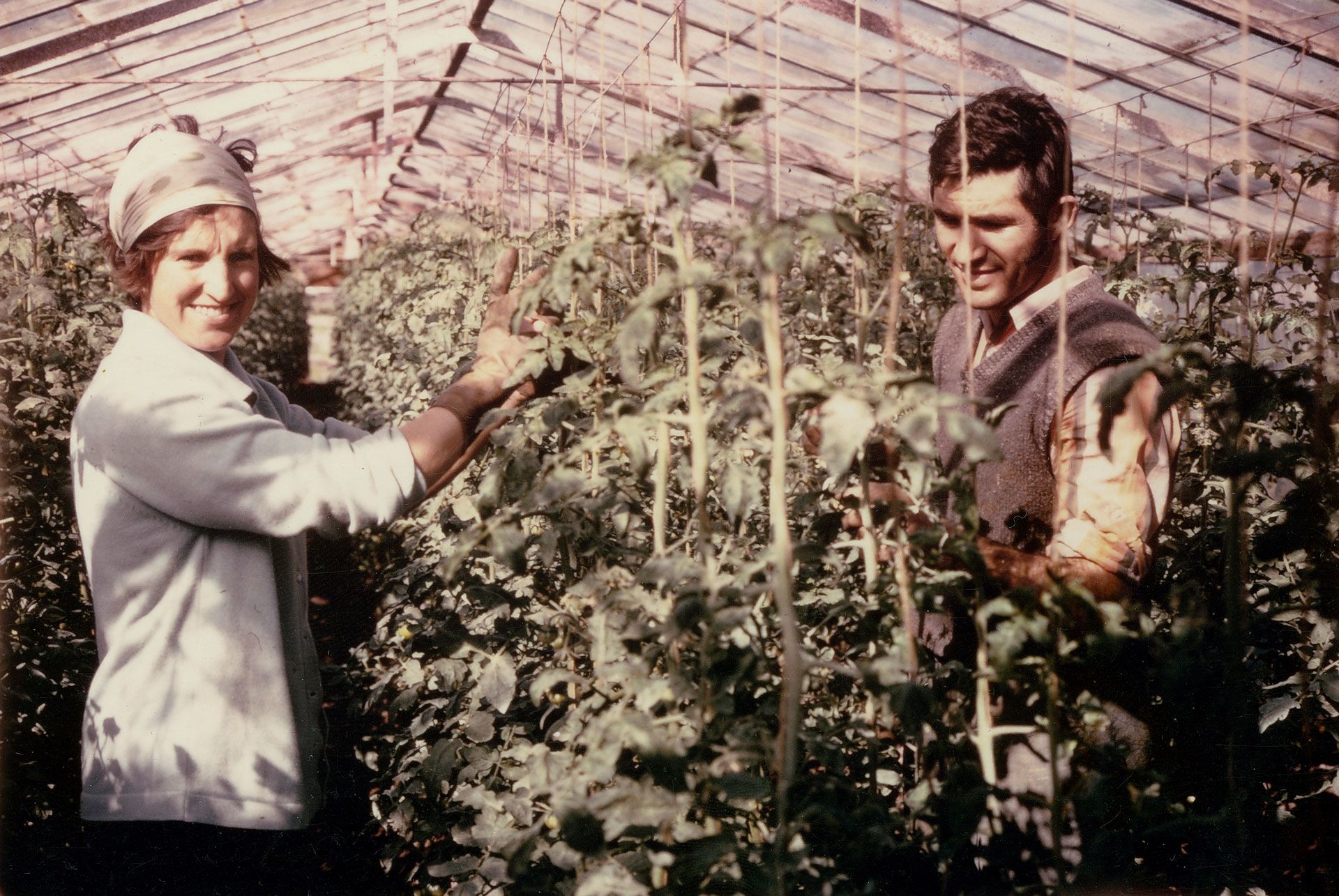 Cornucopia: Gardens and gardening in South Australia