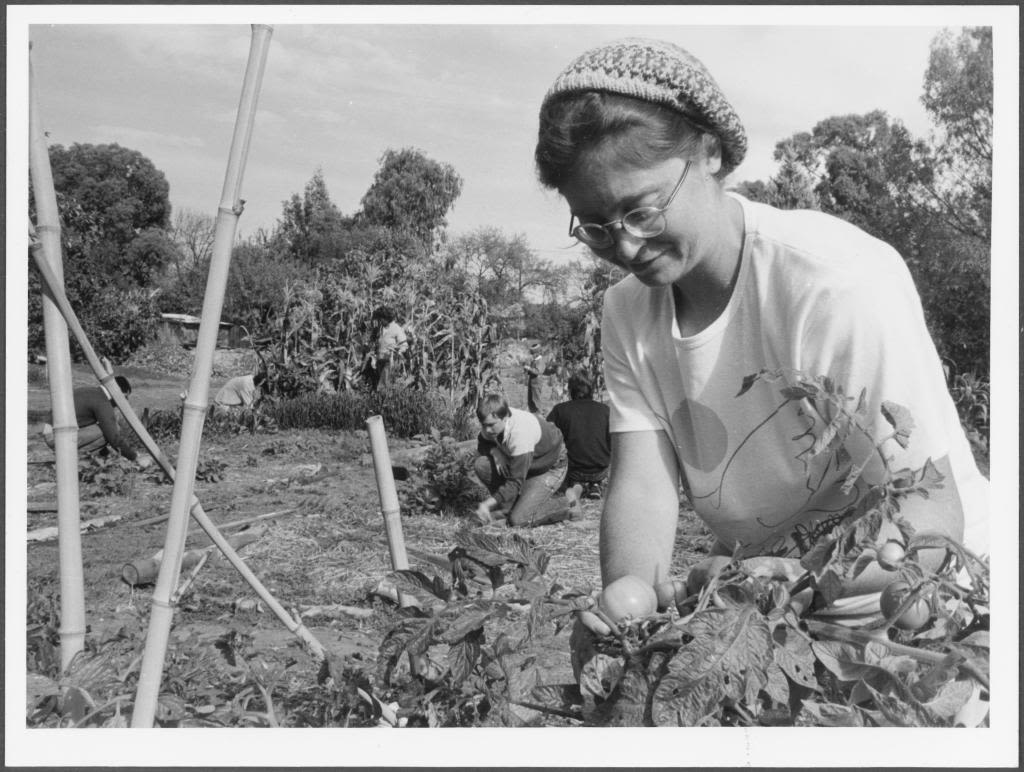 Fullarton Community Garden, 1987.  SLSA: B 70869/13366