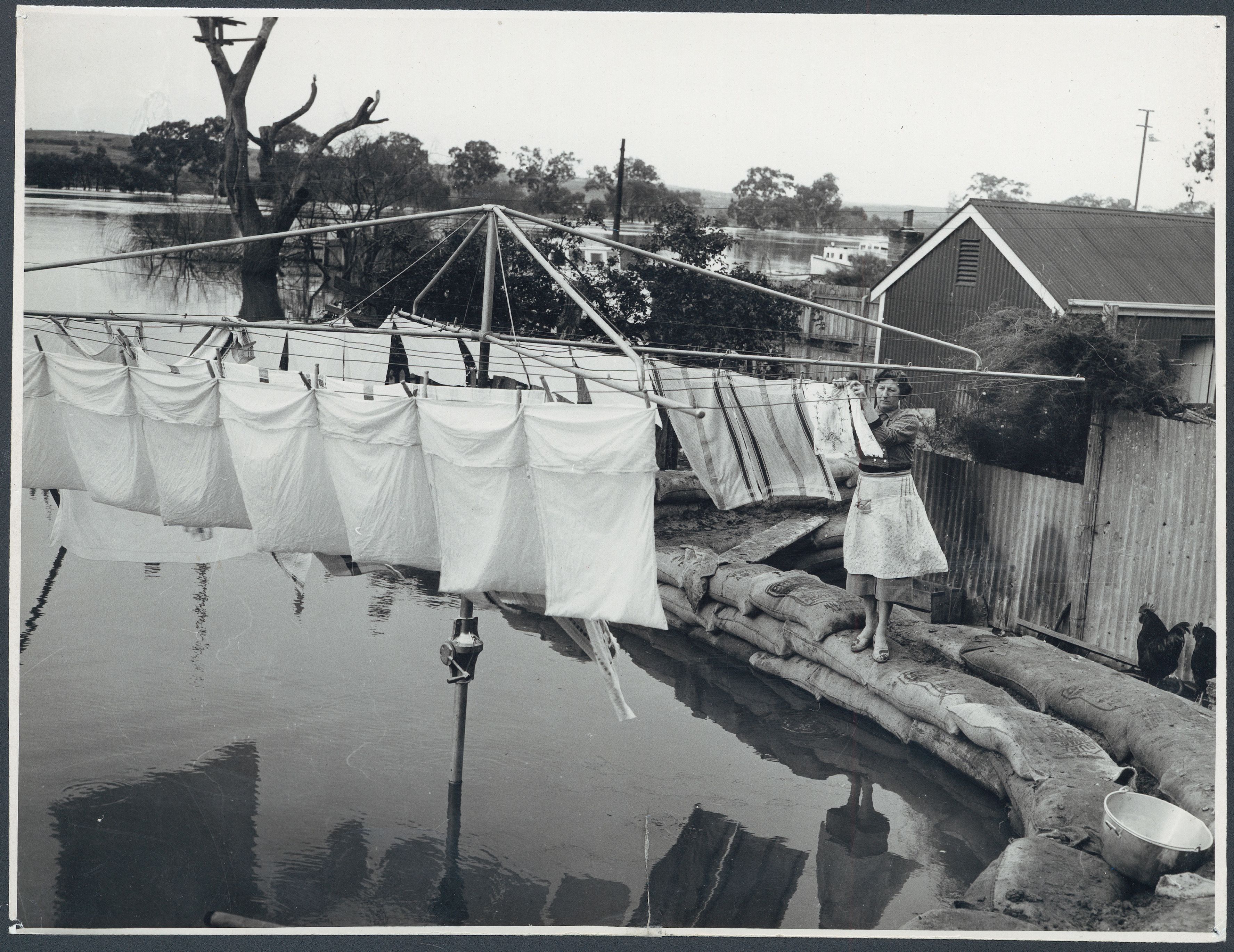 A flooded yard at Mannum during the 1956 floods. SLSA: B 23201
