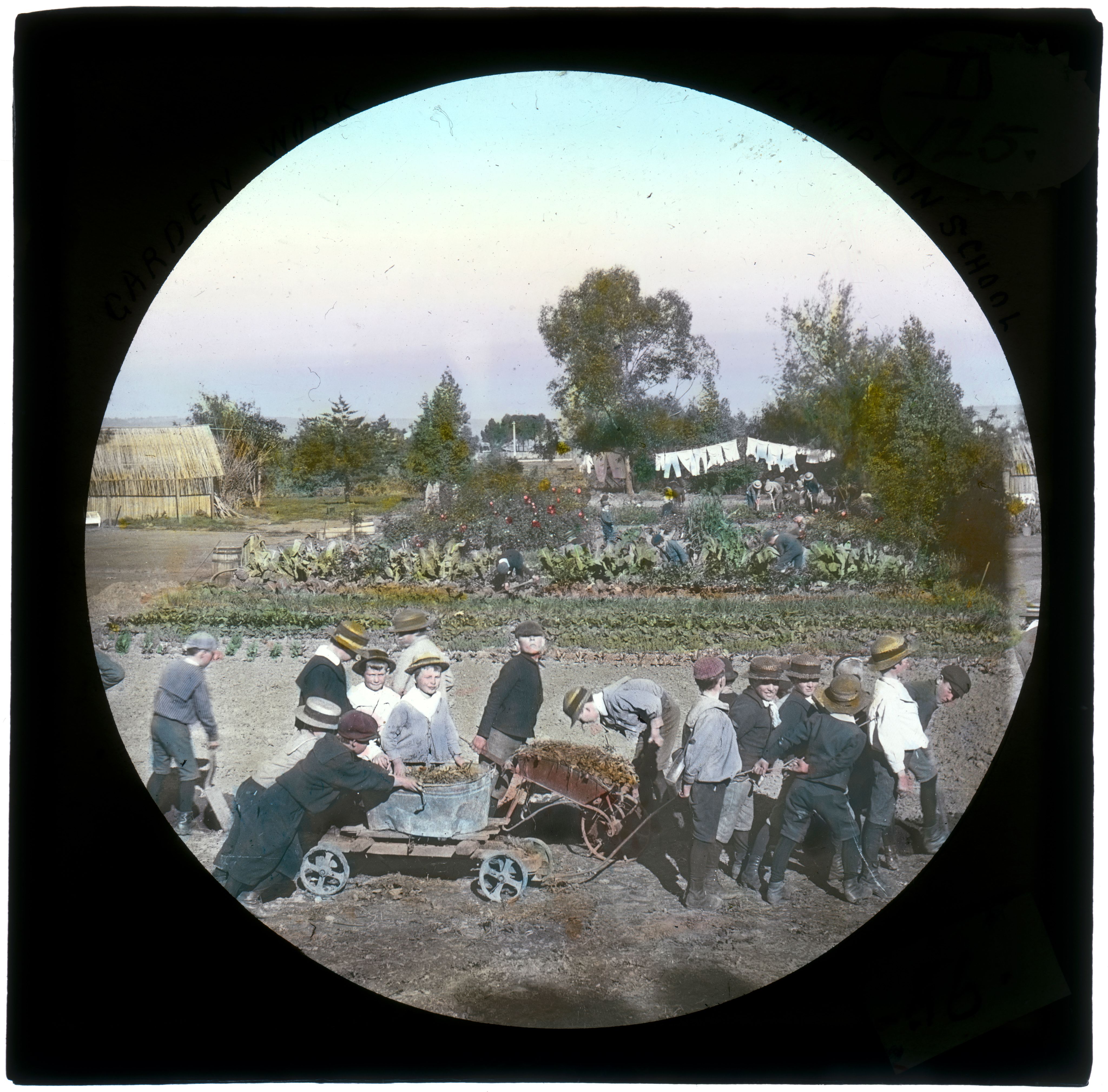 Working in the vegetable garden at Plympton State School, c1900. SLSA: B 60495