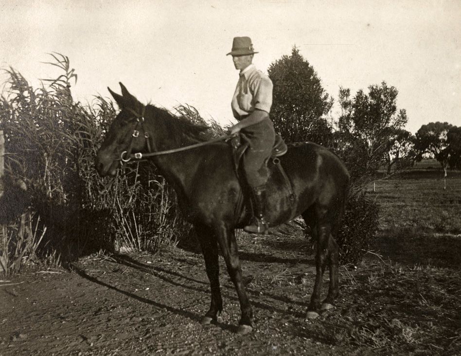 Ross Smith at Mutooroo Station, circa 1912. SLSA: PRG 18/3/2/45