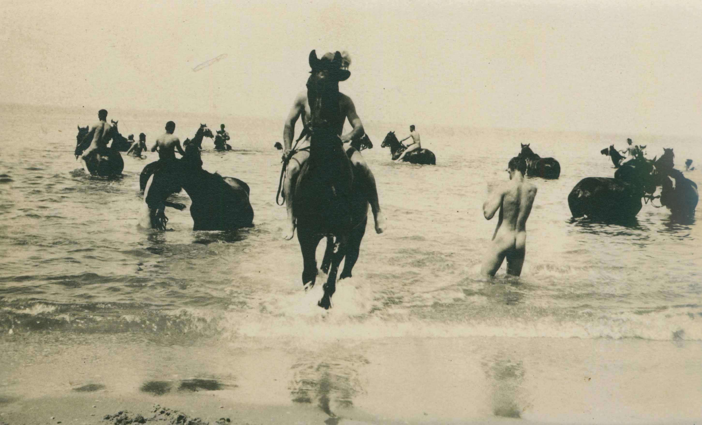 Men and horses of the 9th Light Horse Brigade taking time out in the sea in the Middle East, c1916. SLSA: B 70023/3