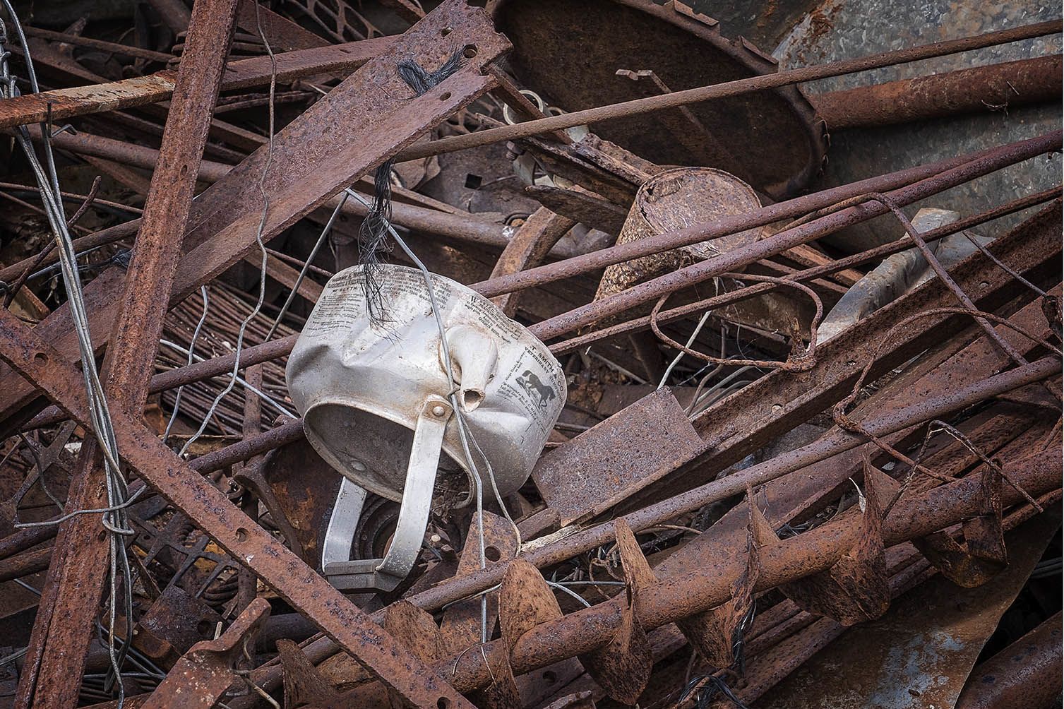 Taking Care, A farm’s viability depends on mechanically sound equipment and all livestock and horses being fit and healthy. Featuring articles from the Northern Argus (Clare), 24 March 1874, p3, Northern Argus (Clare), 21 February 1896, p2 and Northern Argus (Clare), 5 August 1904, p4 