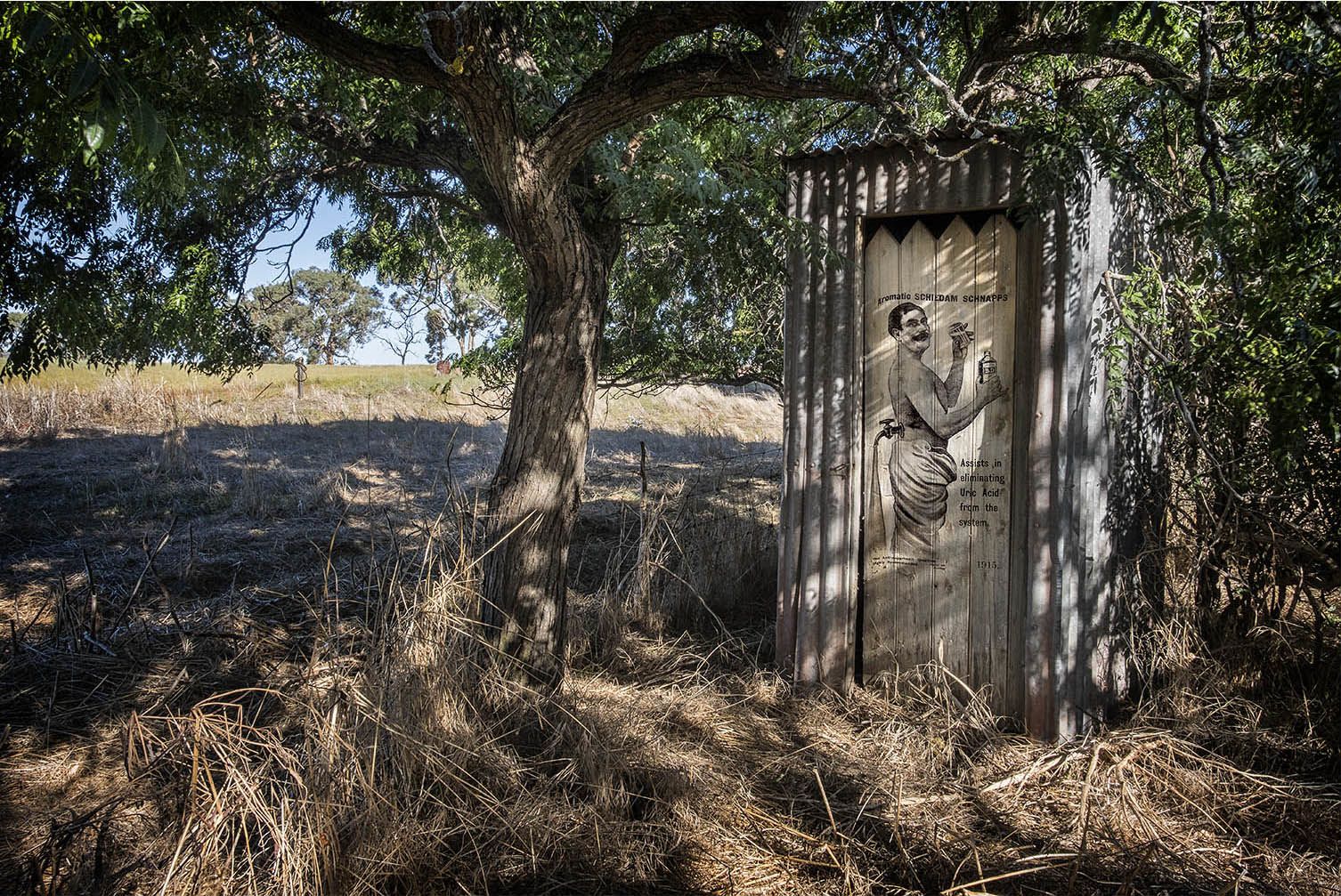 Alternative Benefit. An out door tin 'dunny' toilet with a wooden door, shaded by a tree.
