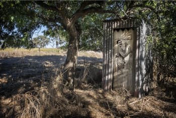 Alternative Benefit. An out door tin 'dunny' toilet with a wooden door, shaded by a tree.