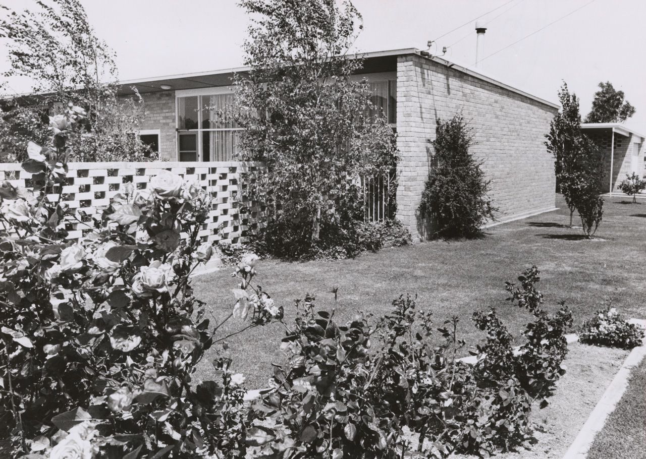 External view of house at 11 Layton Street, Fulham Gardens designed by Brian Vogt. SLSA: BRG 346/28/BRUERVOGT/18/3
