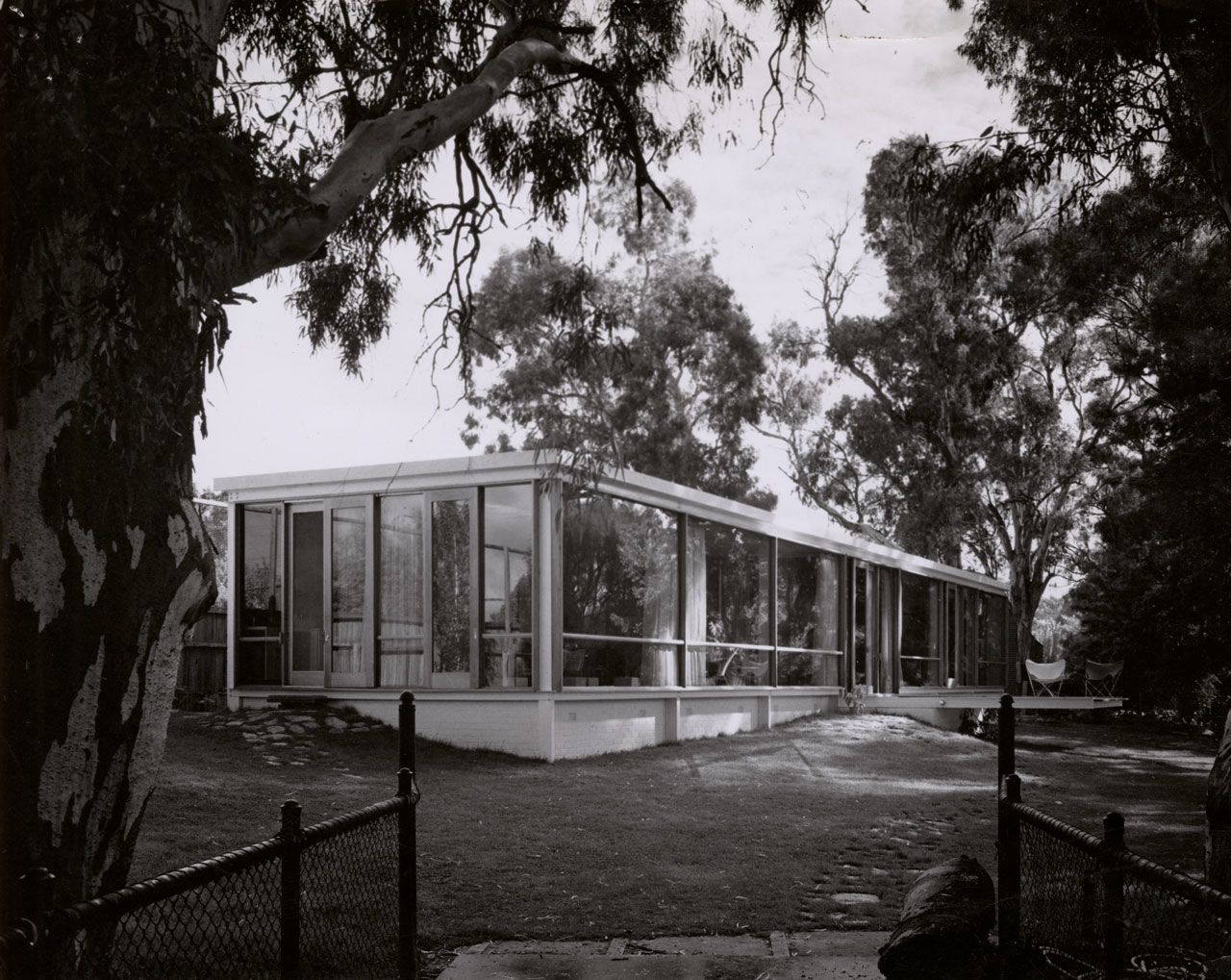 An external photograph of the house among gum trees at 224b Cross Rd (Napier Terrace), Unley Park, designed by architects Cheesman, Doley, Brabham and Neighbour.SLSA: BRG 346/28/CheesmanandCo/15/1