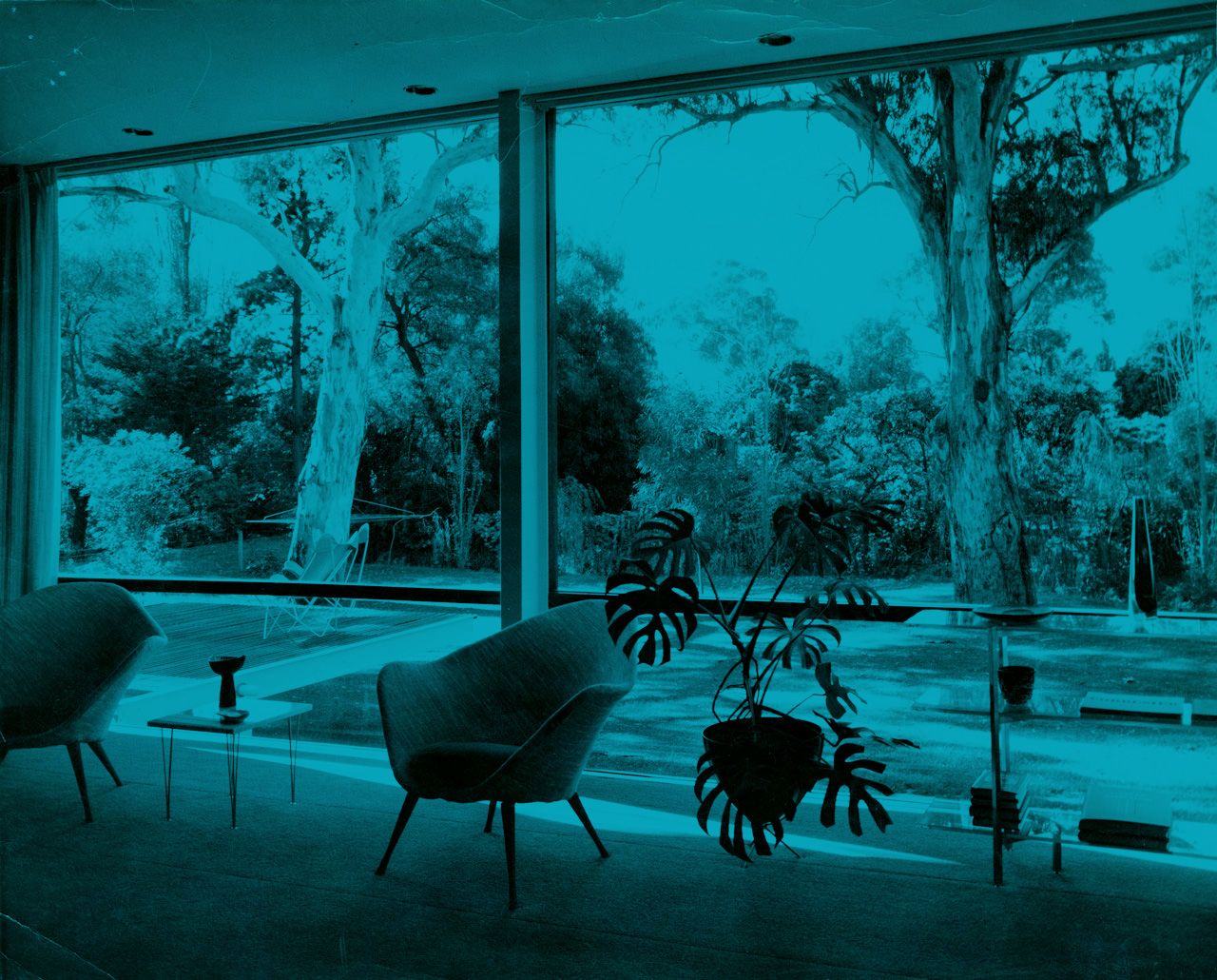 Internal photograph of house at Cross Rd (Napier Terrace), Unley Park. Designed by architects Cheesman, Doley, Brabham and Neighbour. SLSA: BRG 346/28/CheesmanandCo/15/8