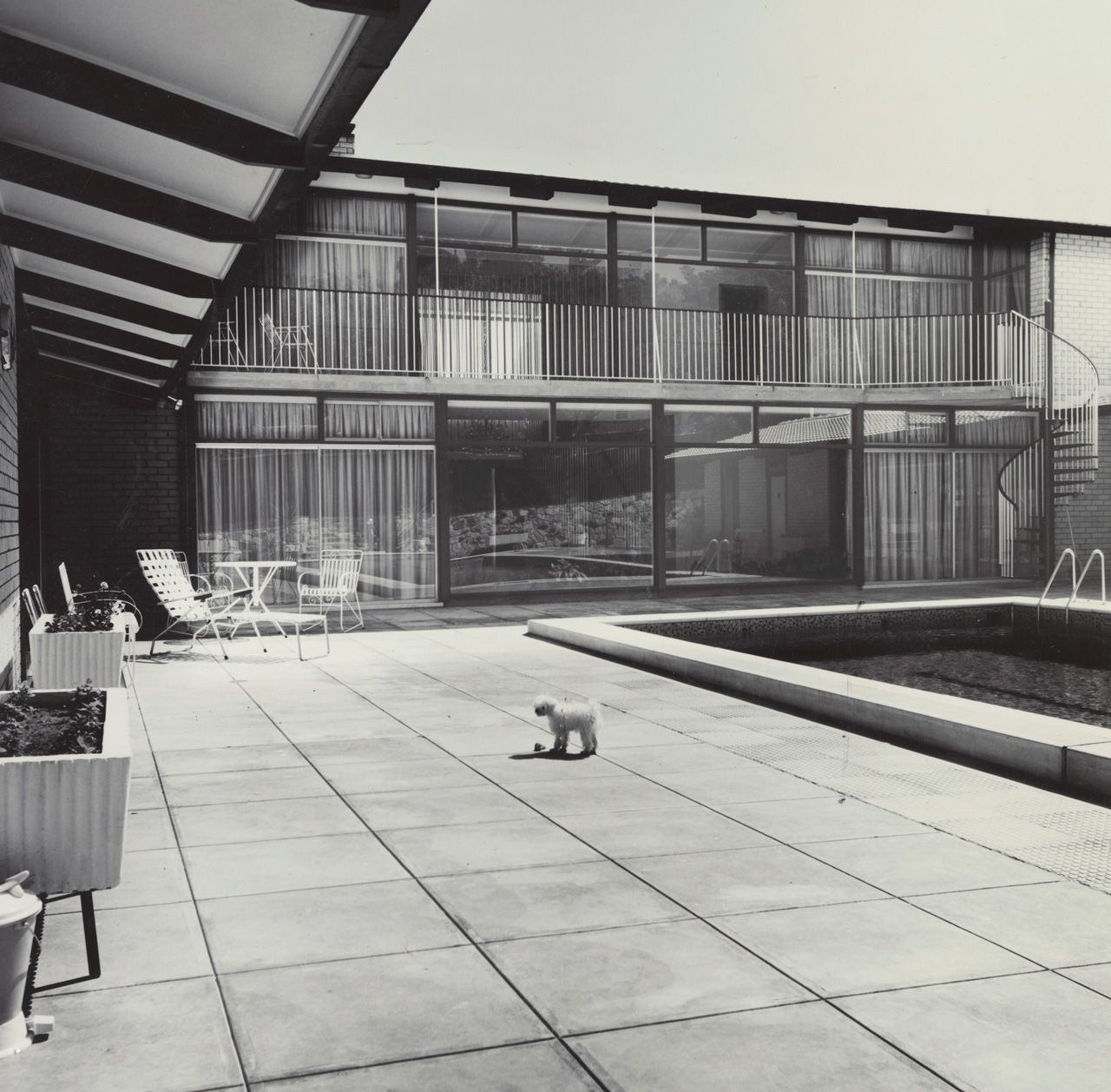 Rear view of house on Balfour Road, Springfield, built for Alf Brown and designed by John S. Chappel Pty Ltd, architect. Showing rear courtyard with swimming pool, February 1962. SLSA: BRG 346/29/27/4