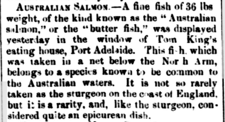 Australian salmon, advertised by Tom King. South Australian Register 13 October 1854&nbsp;NLA: Trove&nbsp;