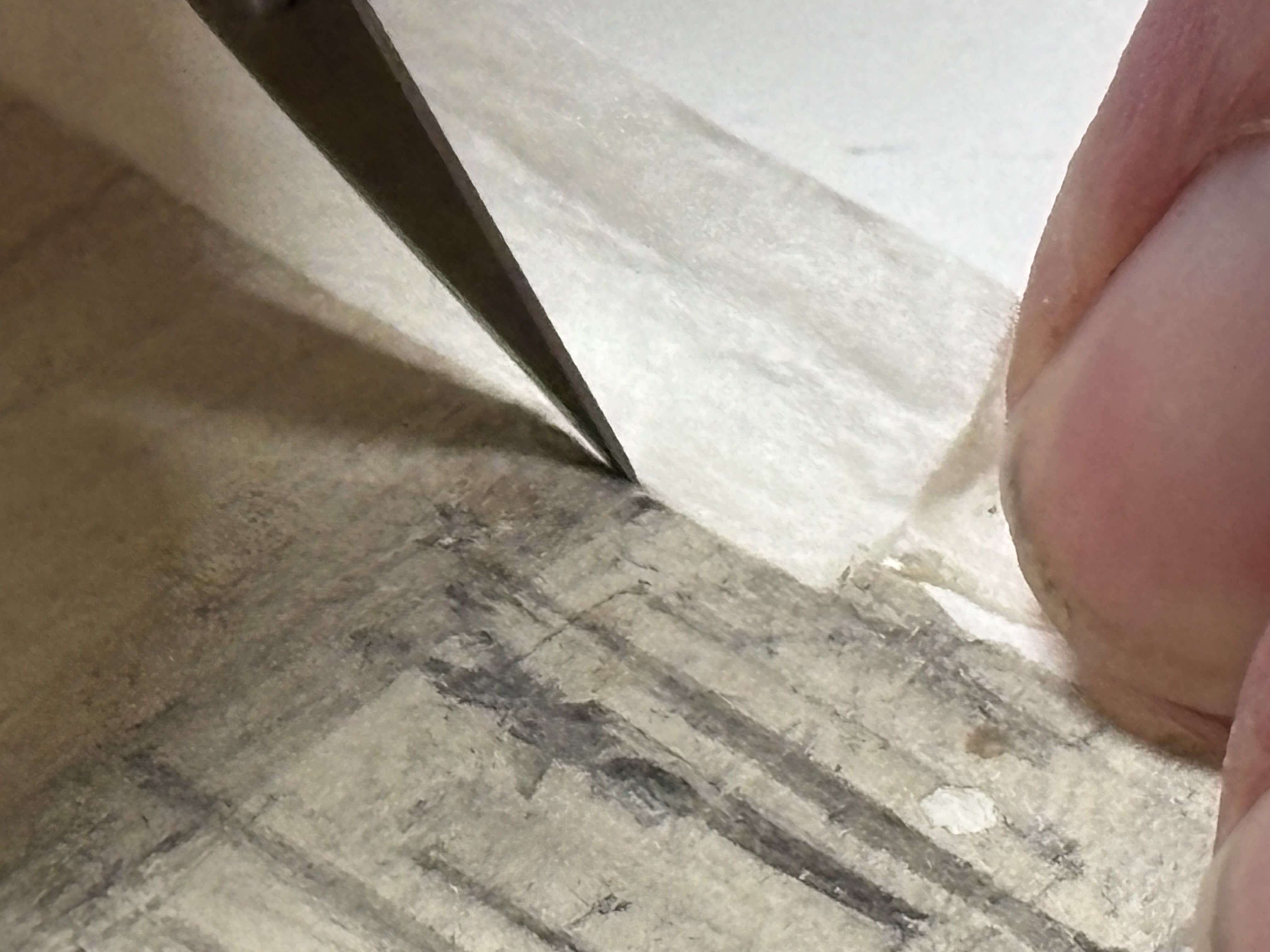 Adhering fine Japanese tissue using a fine wheatstarch paste. A process 100% reversable without causing harm to the original.&nbsp;