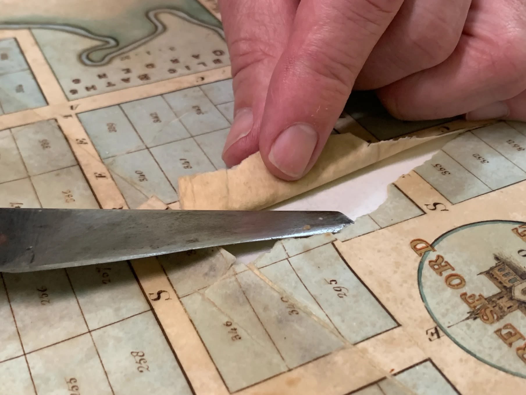 Peter working to lift the Port Gawler map from its backing, as part of the conservation treatment. Photograph SLSA: February 2023