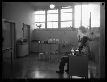 Casualty room at Woodville, 1945. Photographer D Darian Smith. SLSA: BRG 213/207/1/90